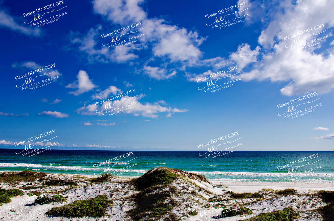 Beach Fine Art 00001