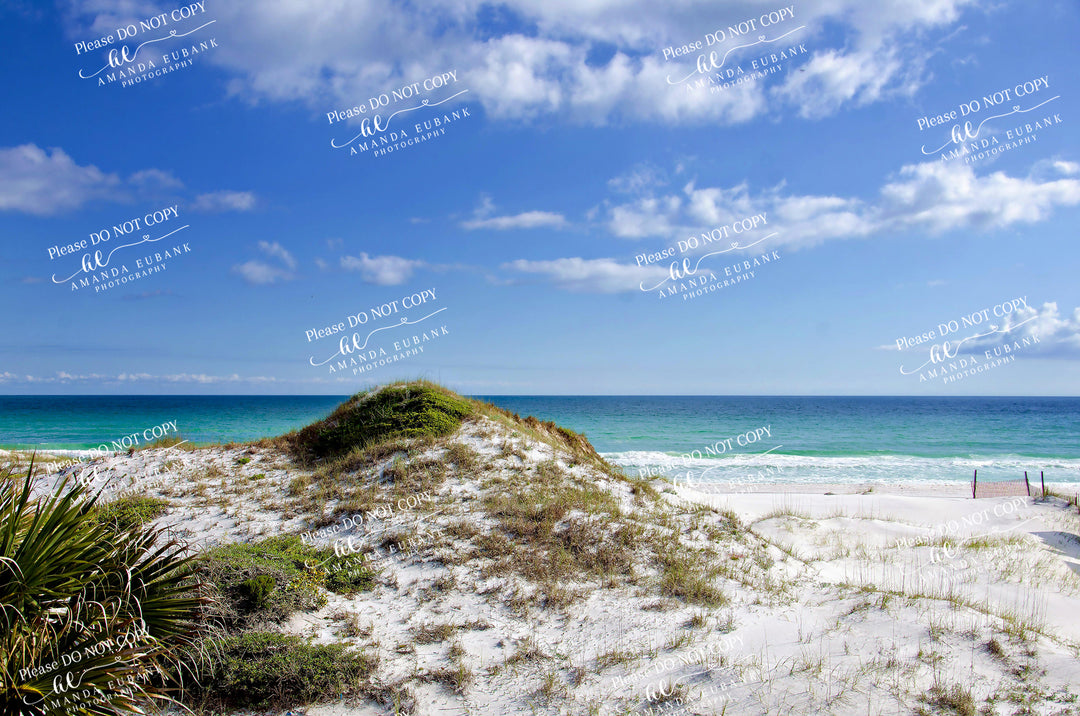 Beach Fine Art 00002