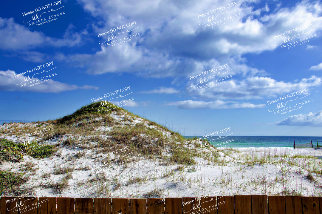 beach-fine-art-00003