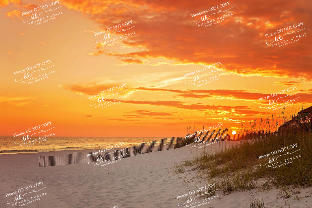 beach-fine-art-00004