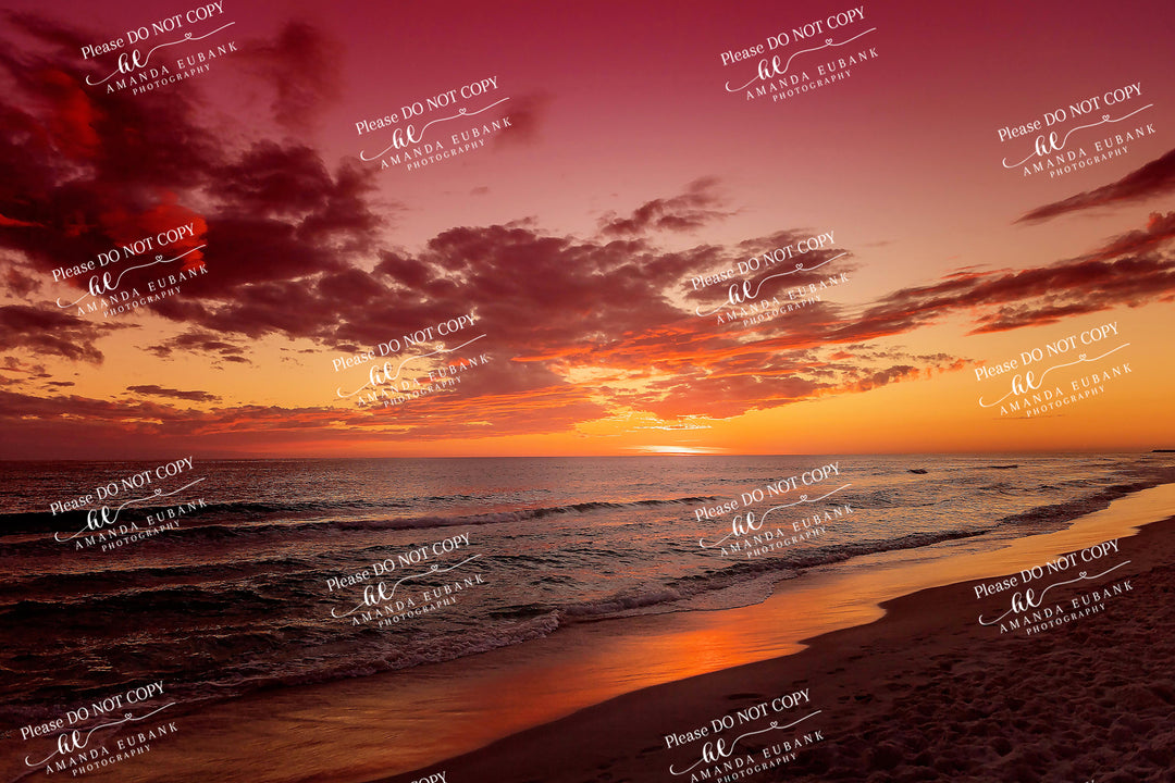 beach-fine-art-00005