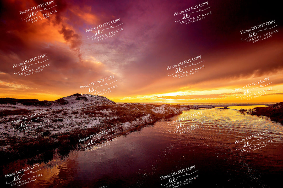 beach-fine-art-00006