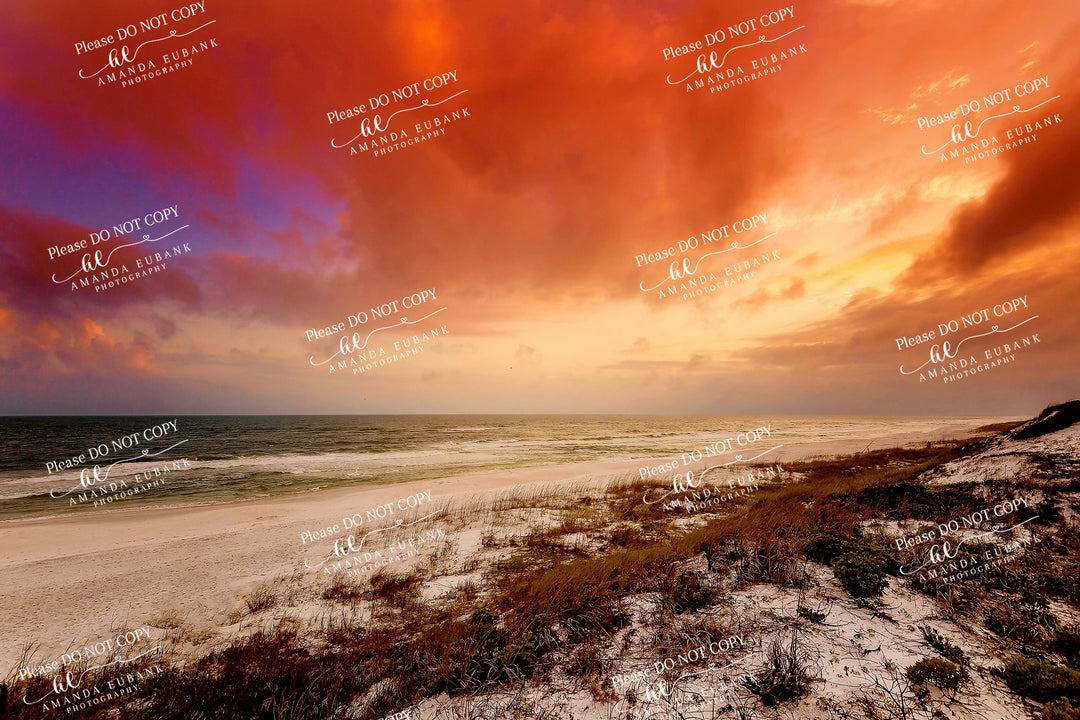 beach-fine-art-00098