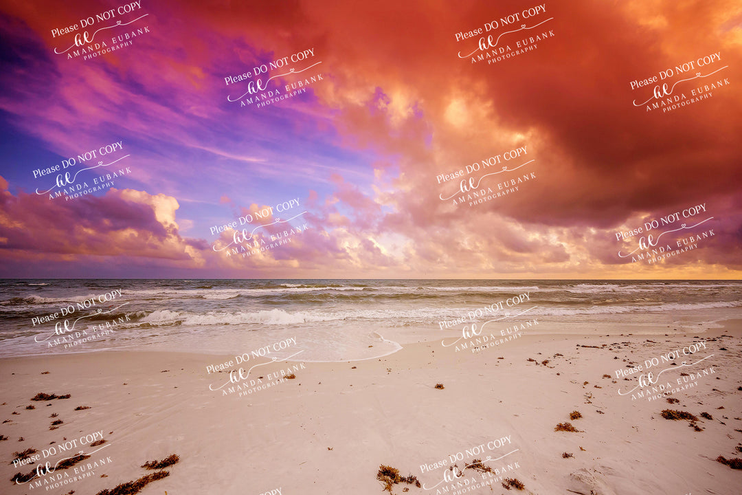 beach-fine-art-00101