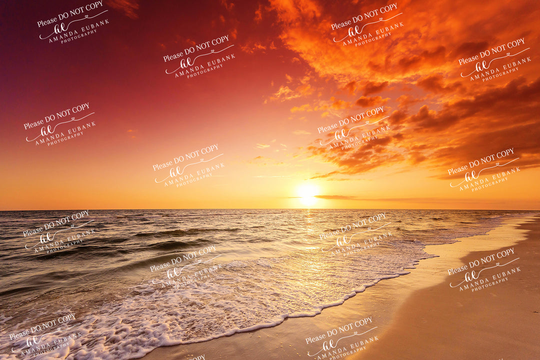 beach-fine-art-00102