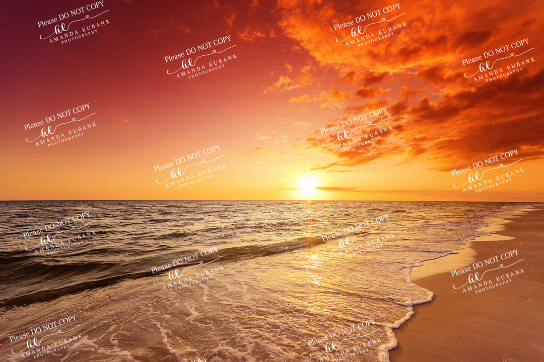 beach-fine-art-00103