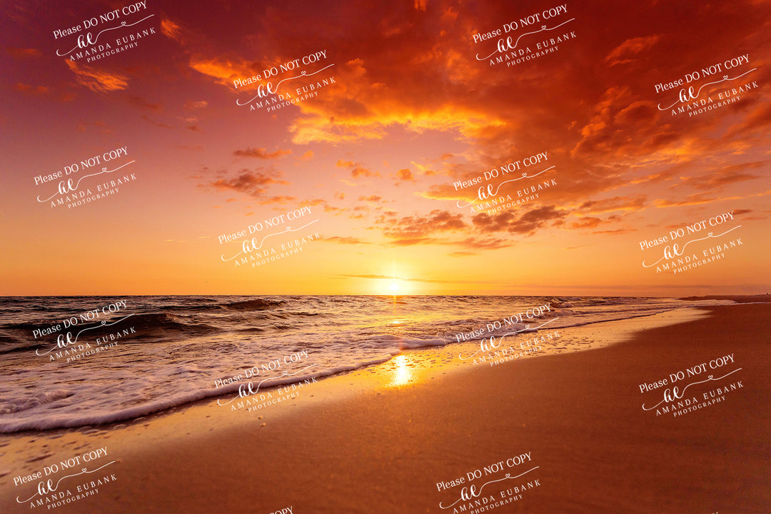 beach-fine-art-00104