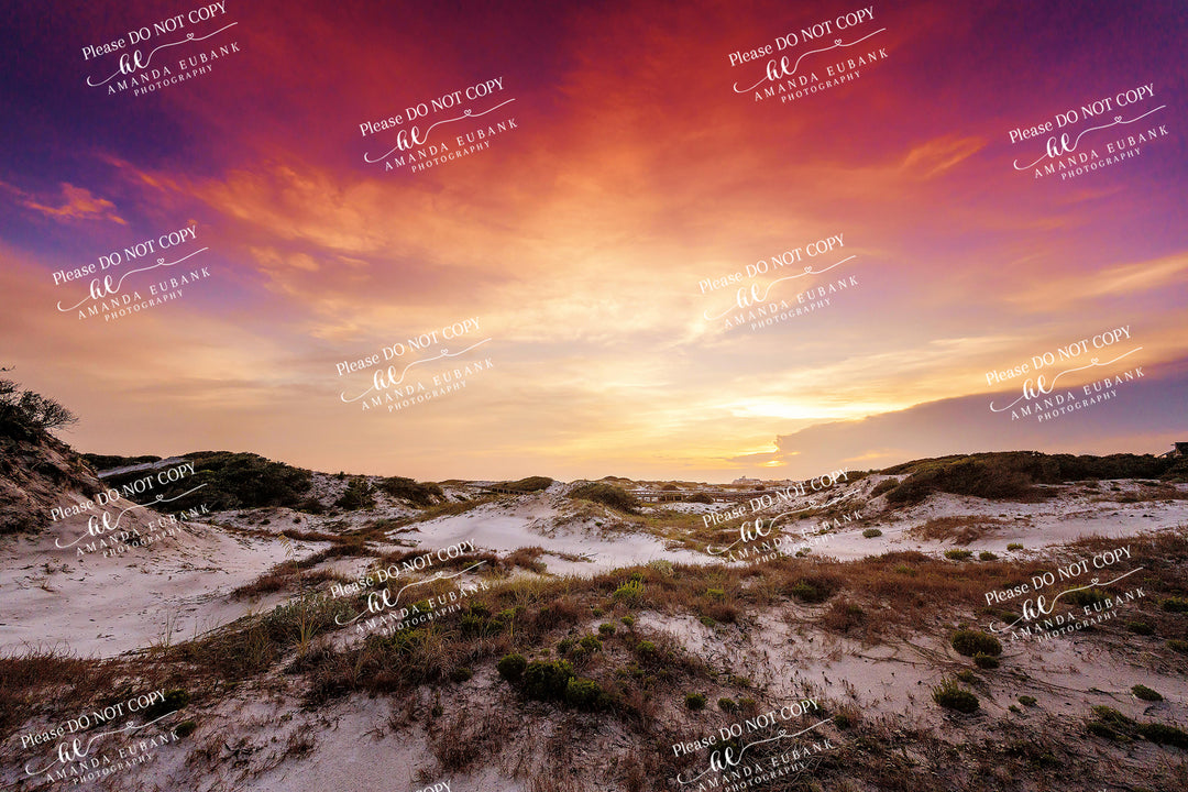 beach-fine-art-00138