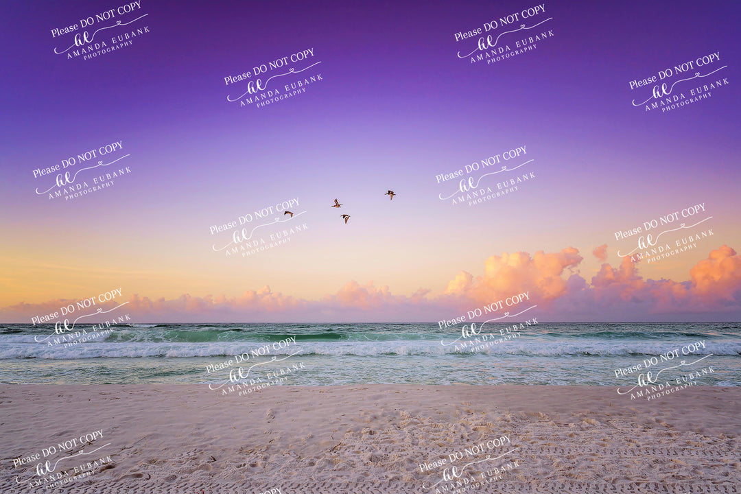 beach-fine-art-00144