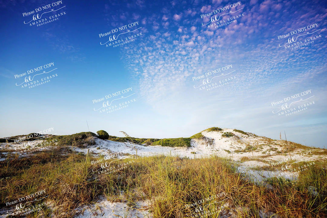 beach-fine-art-00171