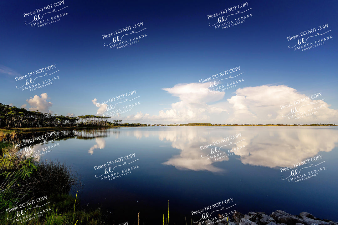 beach-fine-art-00197