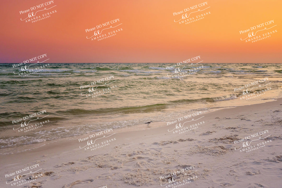 beach-fine-art-00204