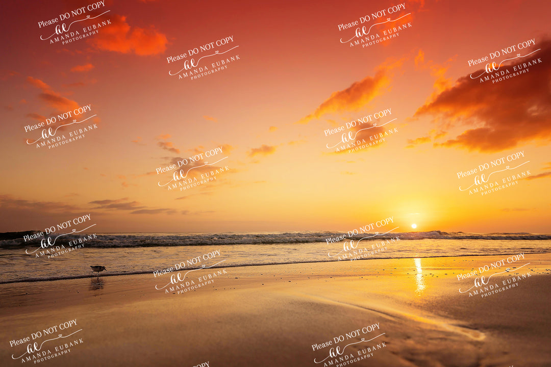 beach-fine-art-00218