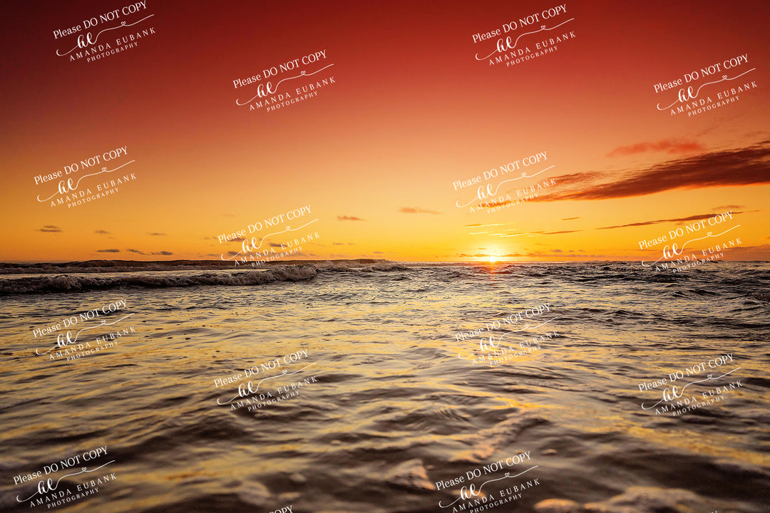 beach-fine-art-00223