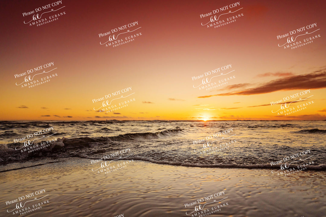 beach-fine-art-00224