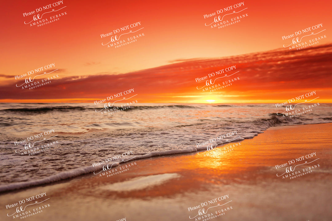beach-fine-art-00227