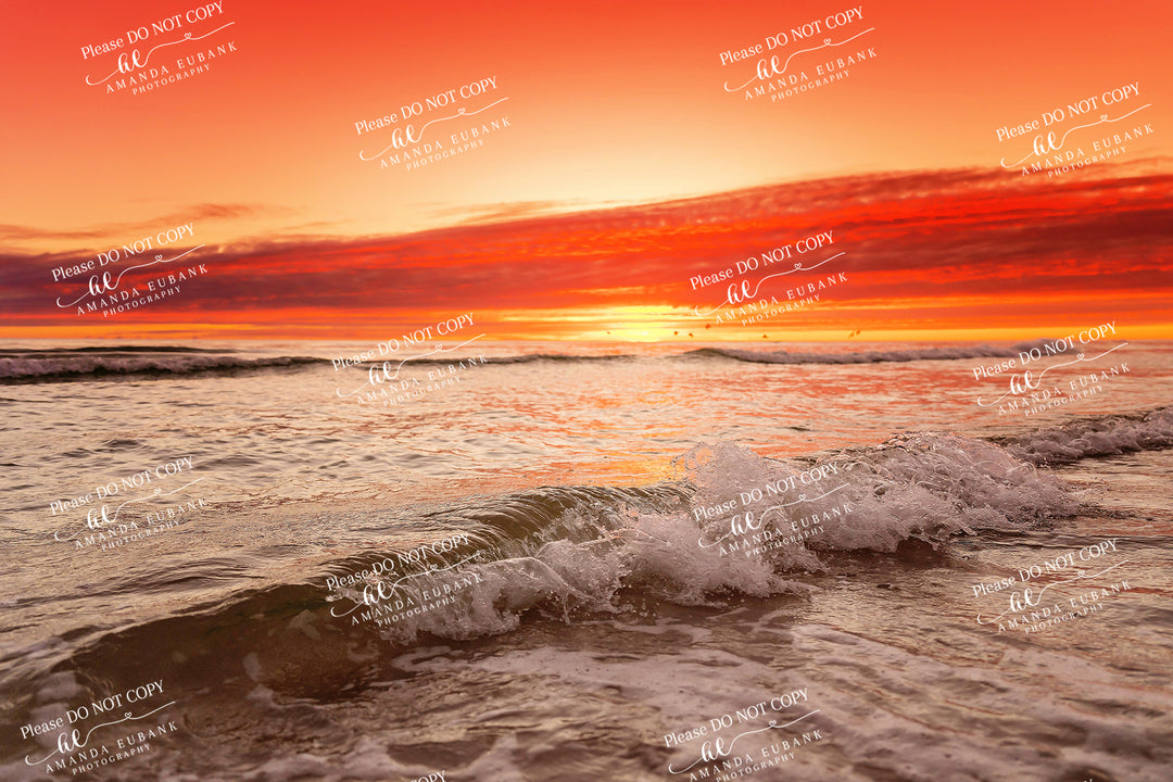 beach-fine-art-00228