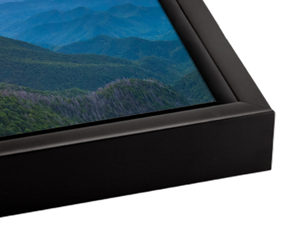 Canvas Frame Selection
