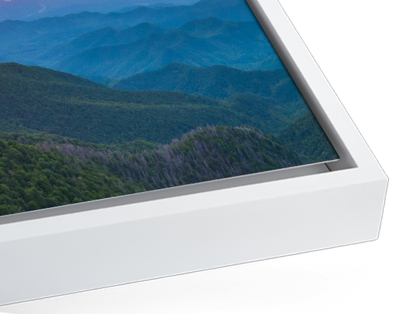 Canvas Frame Selection